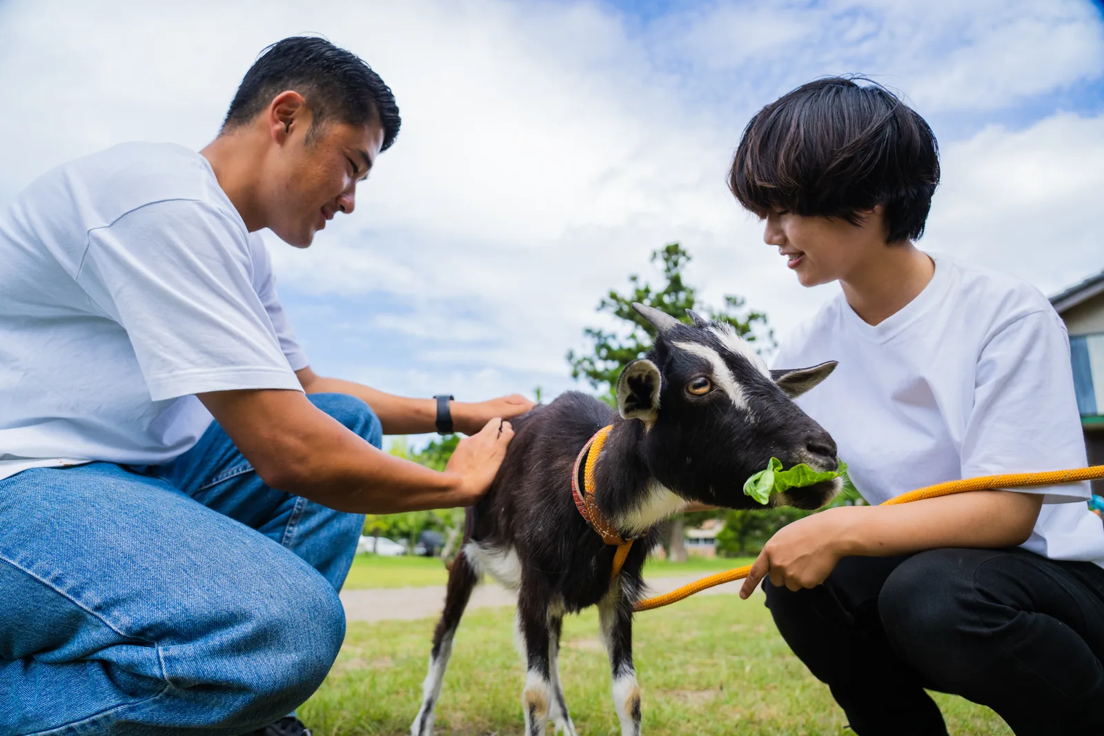動物お世話体験を楽しむ大人