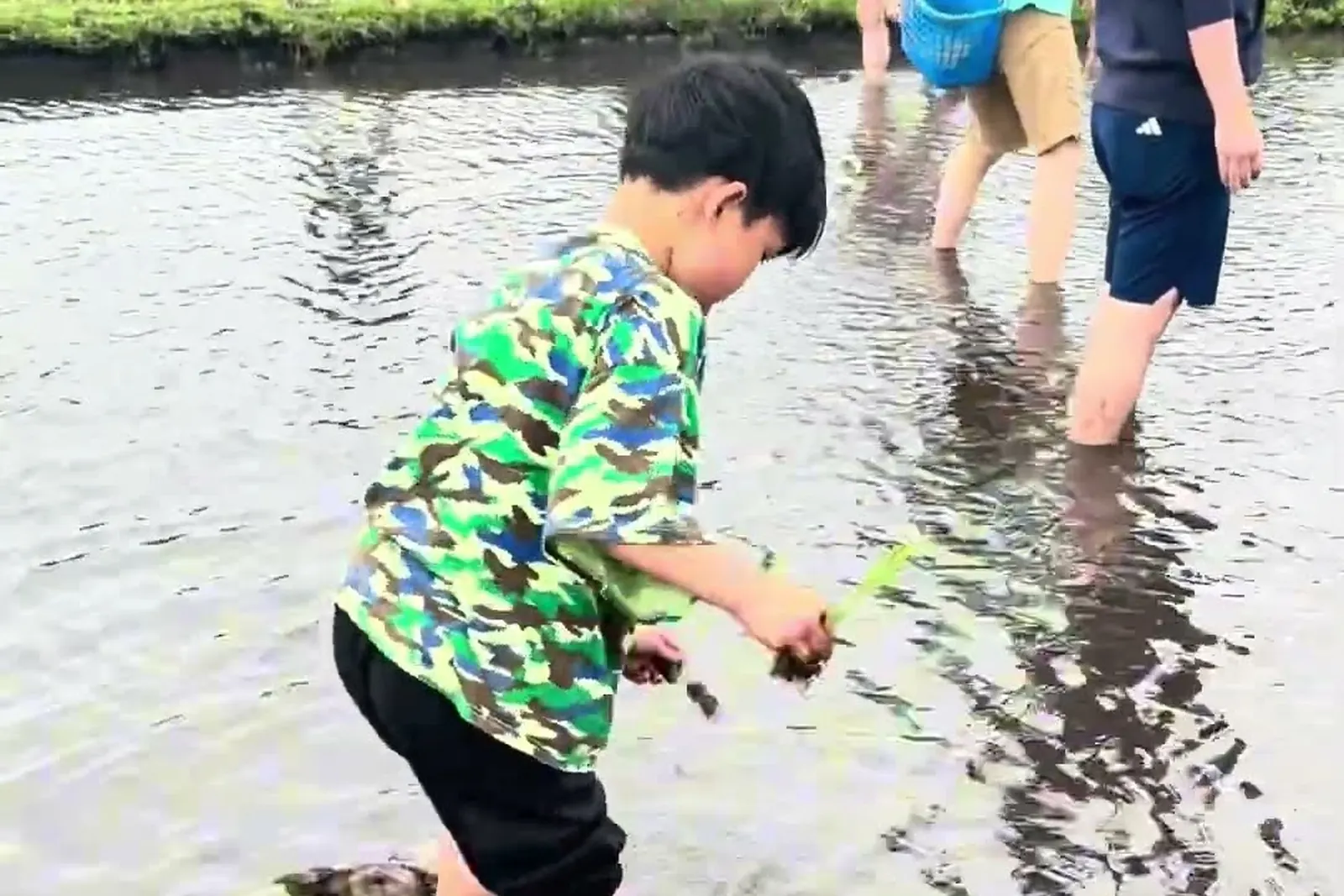 苗を手に田んぼを歩く男の子