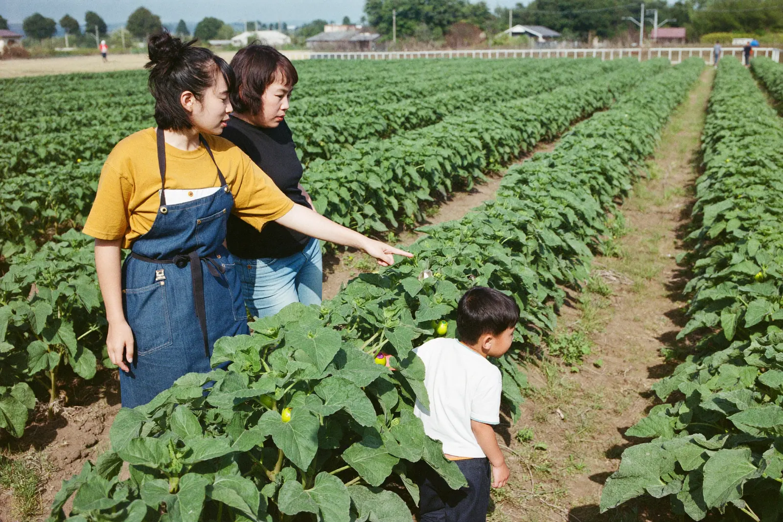おいしい野菜の見分け方を教わる親子