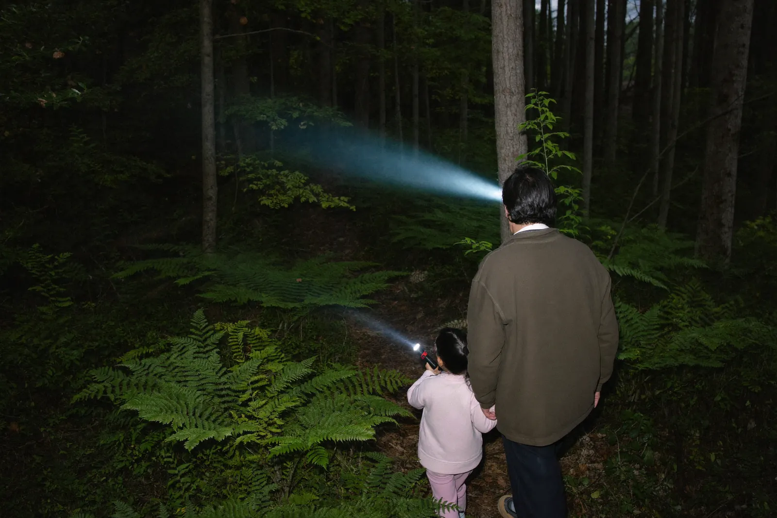 懐中電灯で森を探す父と娘