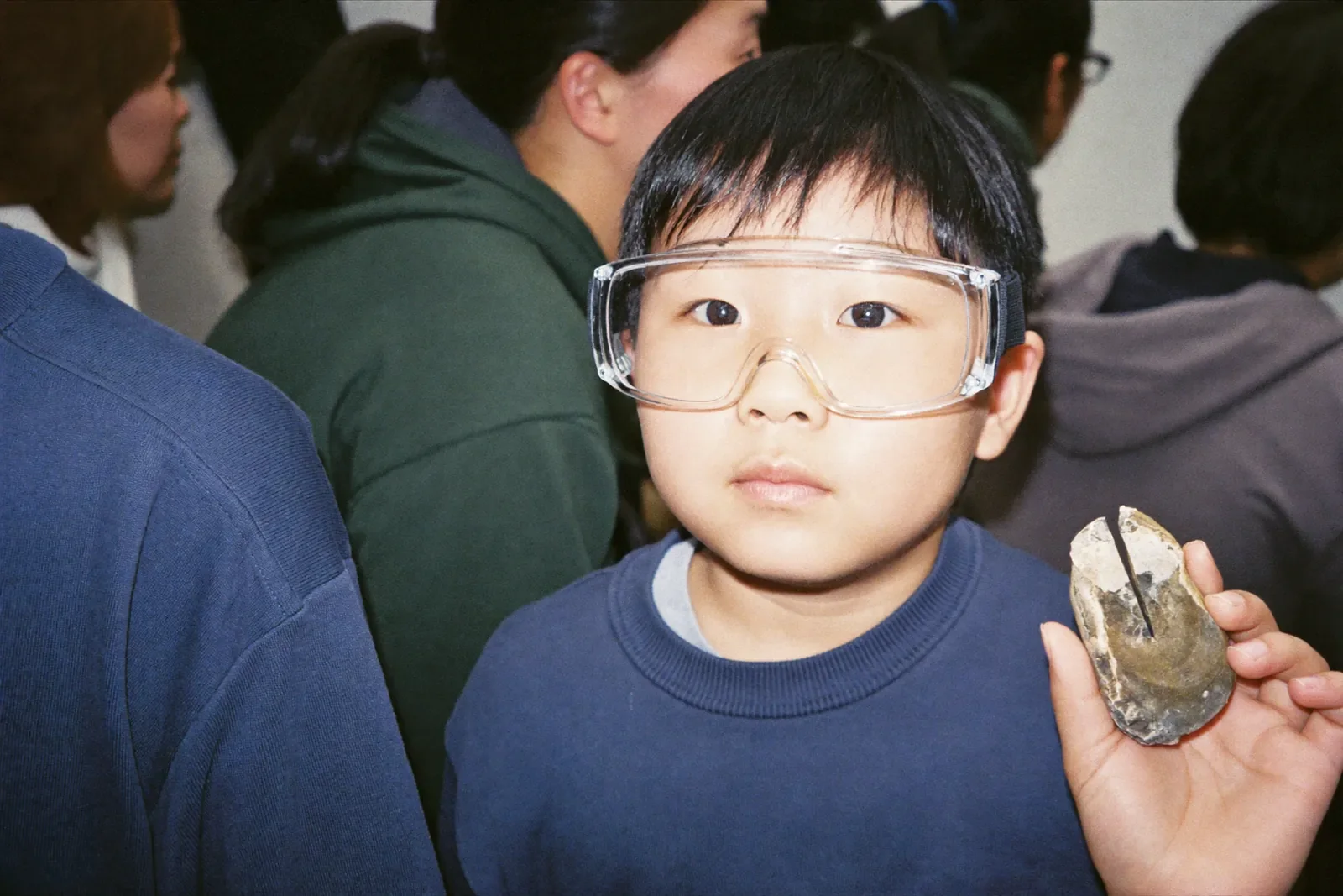 割った石の中の化石を見つめる男の子