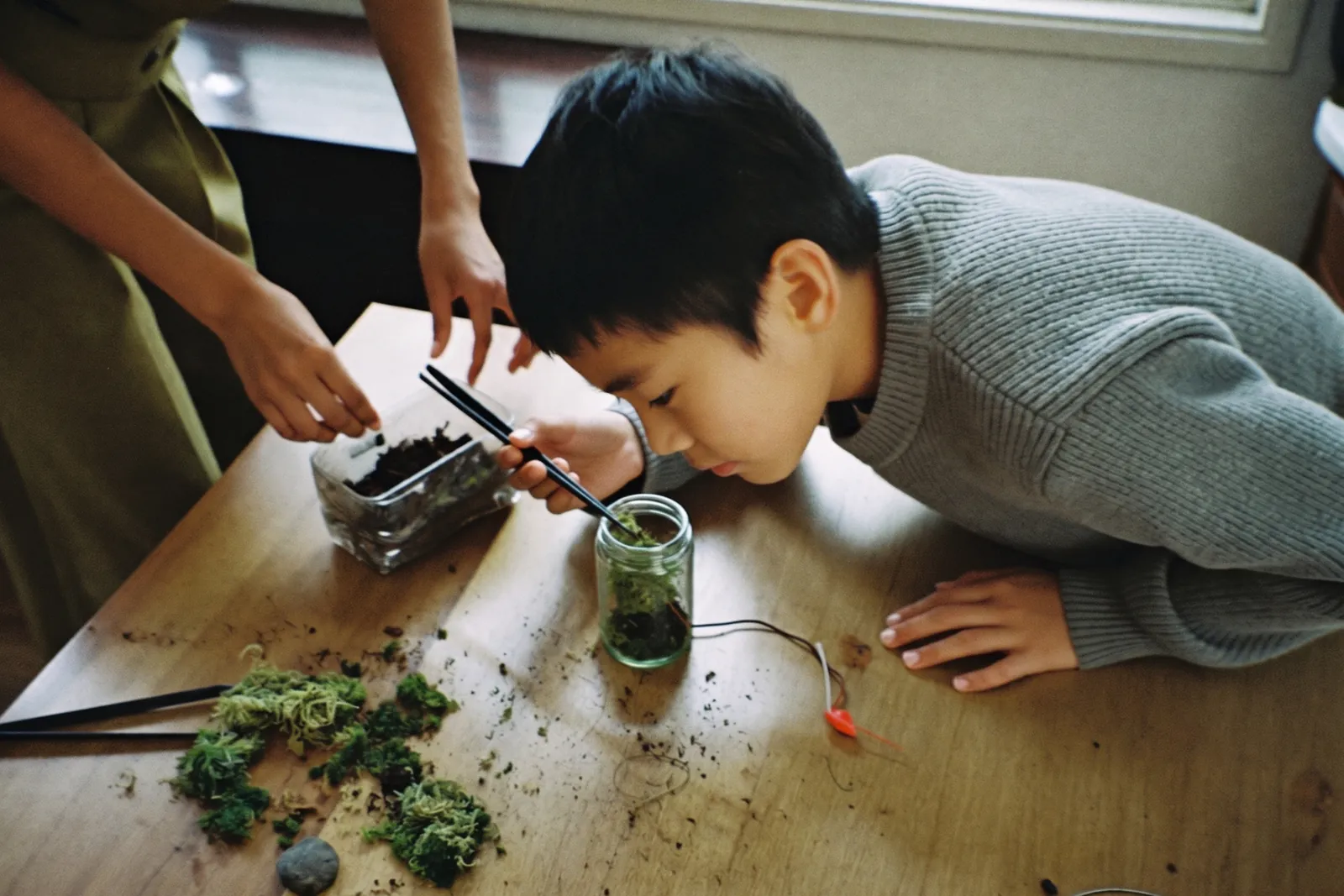 身をのりだして苔を入れる男の子