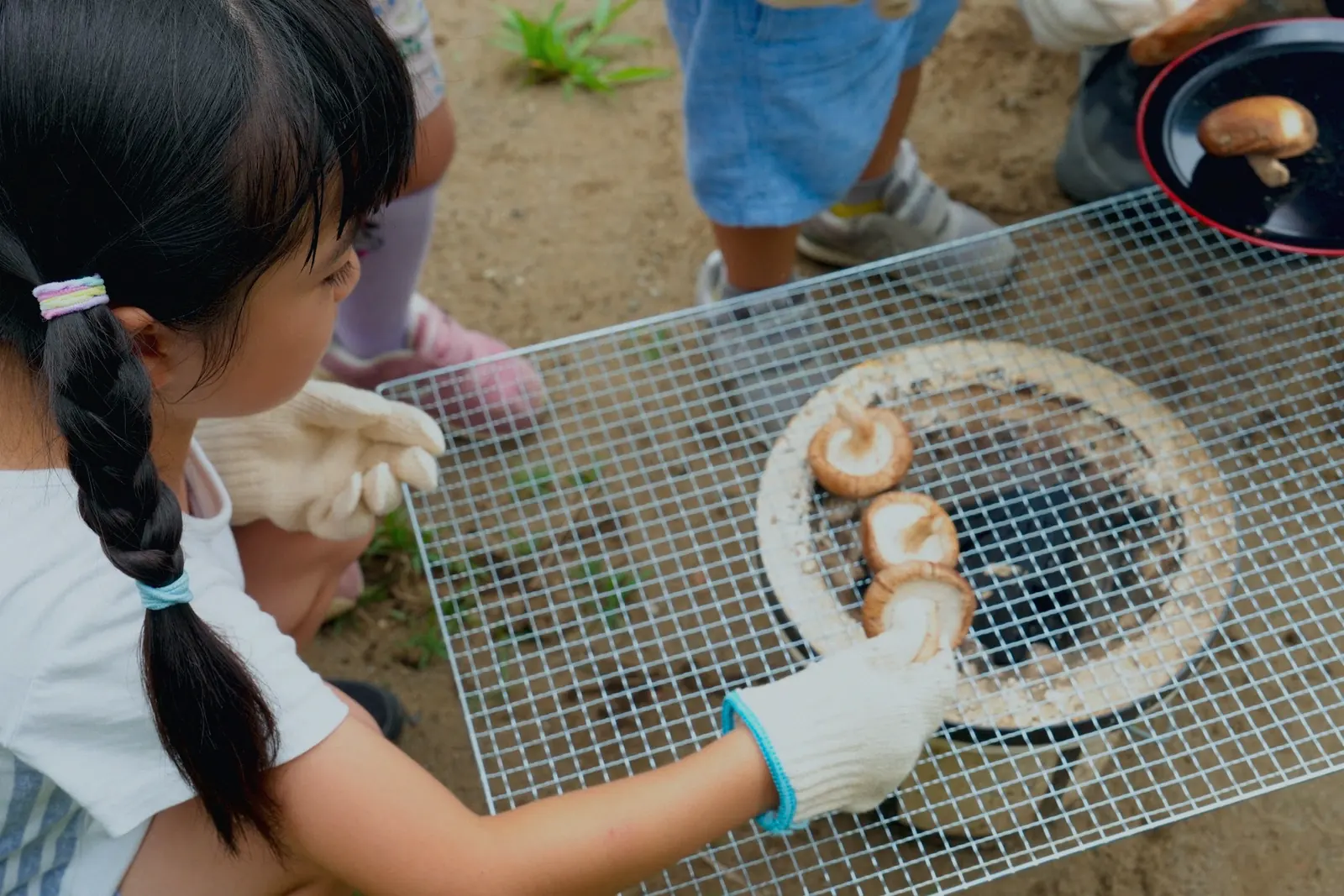 炭火の網で椎茸を焼く女の子