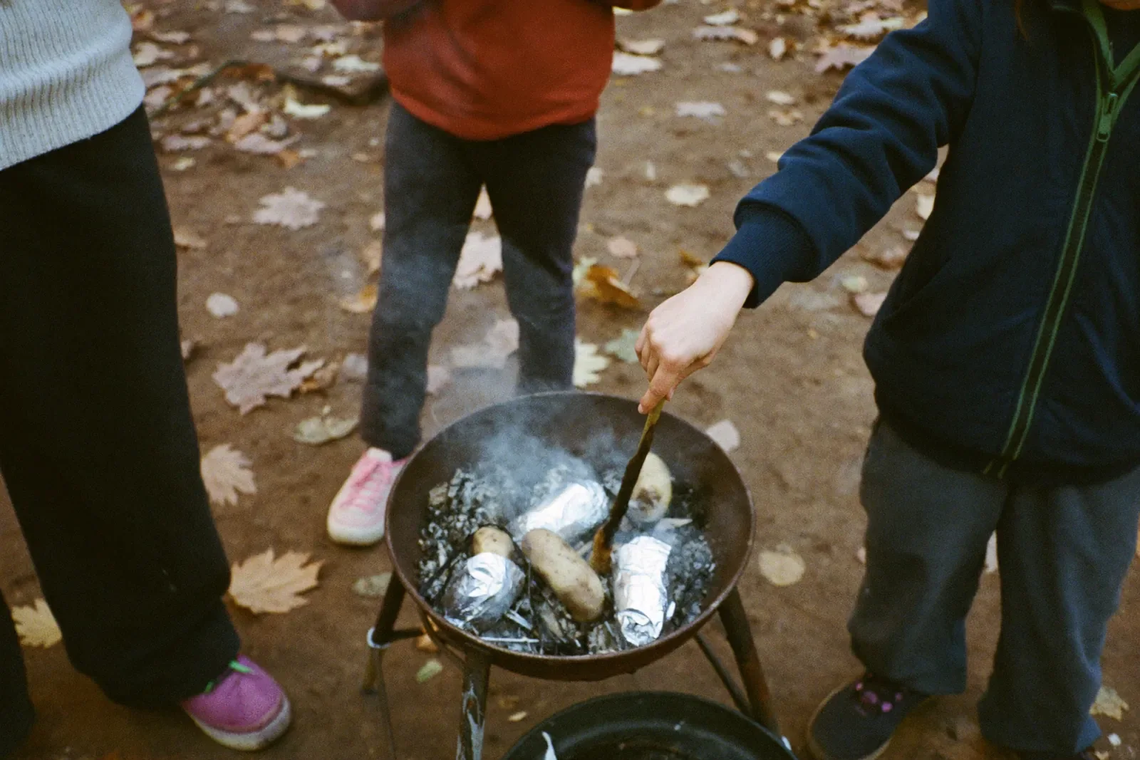 たき火の中の焼きいもをつつく子どもたち