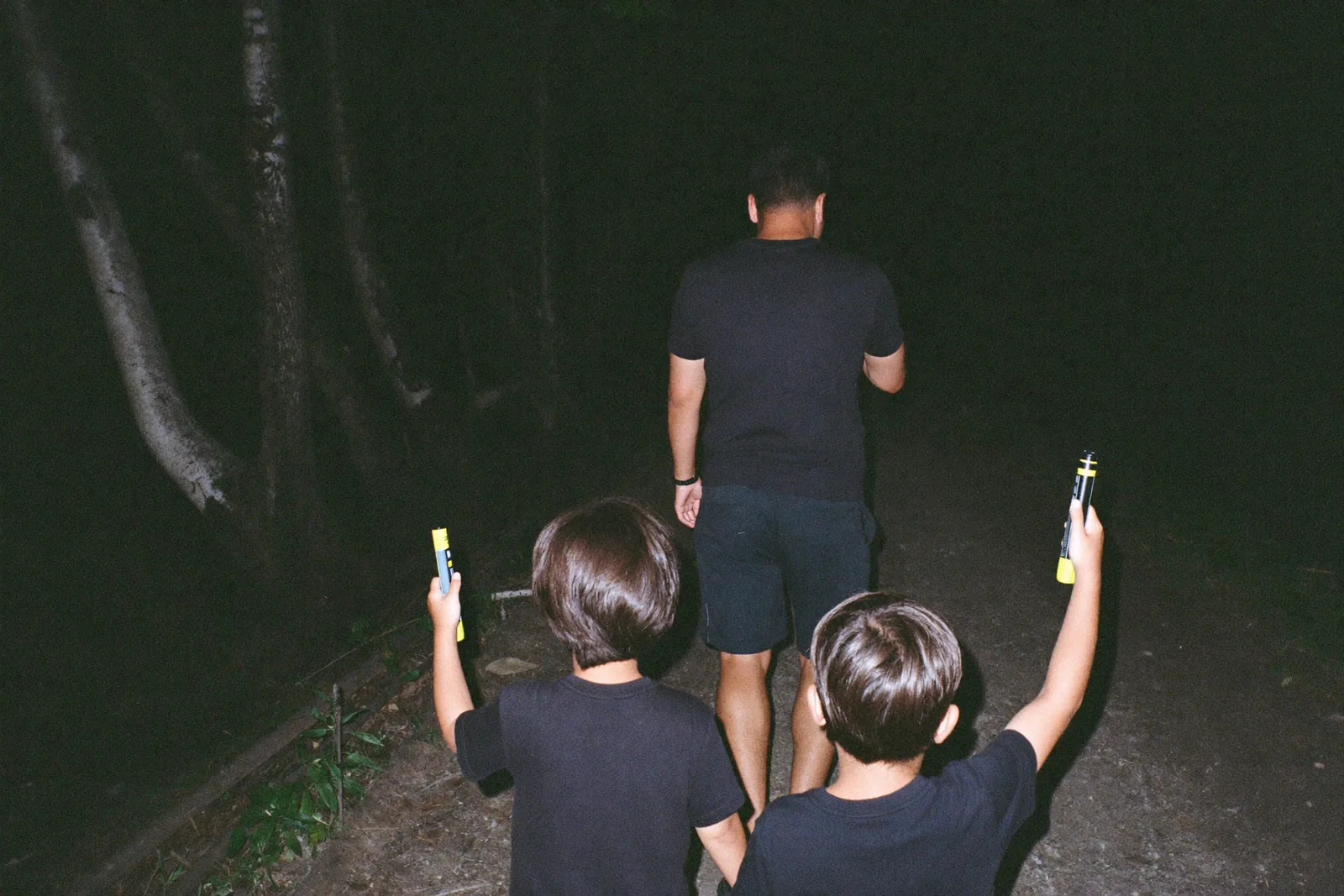 ライトを持って夜の森を歩く親子