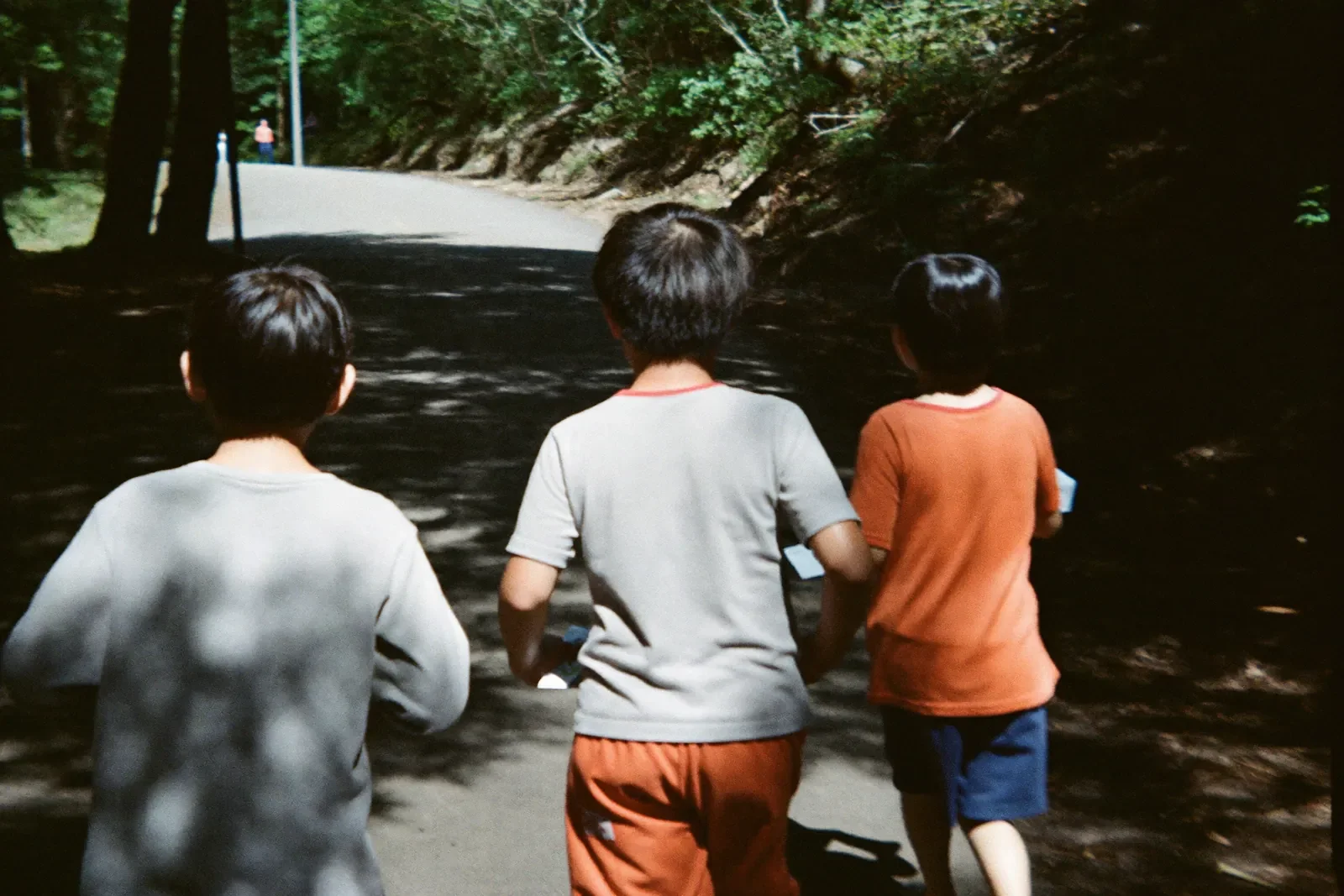 地図を手に森の小道を走る子どもたち