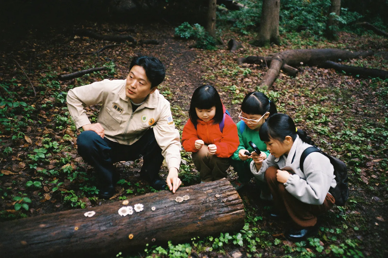丸太のカビをみんなで観察する親子とガイド