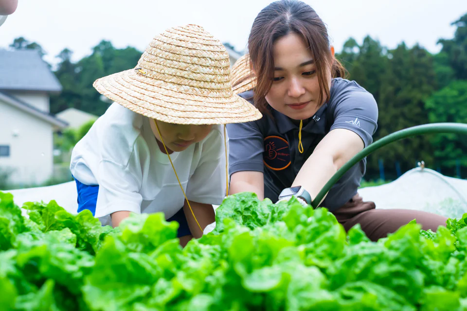 畑で夏野菜を収穫する子どもたち