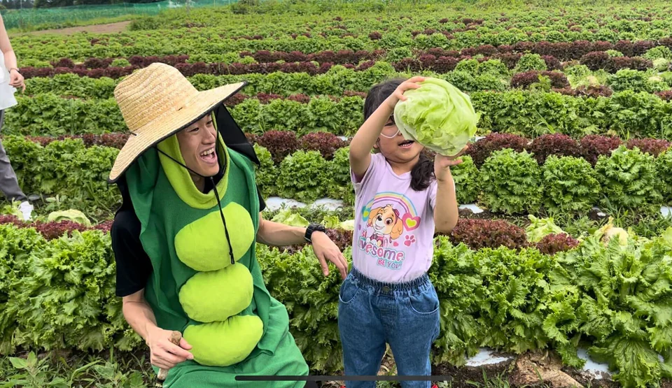 八ヶ岳の高原の畑でレタスを収穫する親子