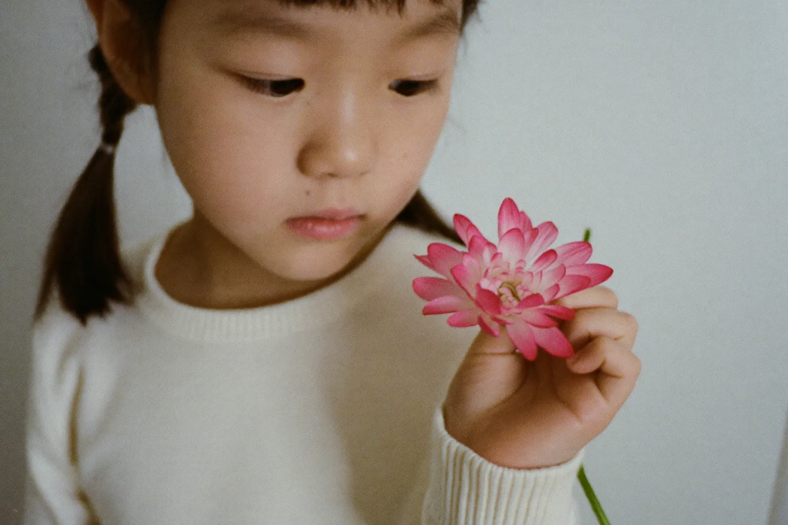 ディップアートの花を見つめる女の子