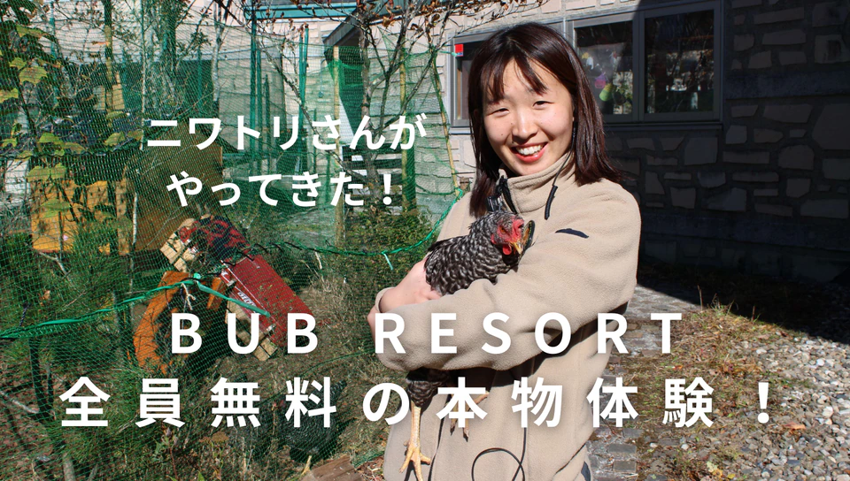 【BUB RESORT Yatsugatakeで本物体験】誰でも無料で「ニワトリ」とふれあい体験ができます！