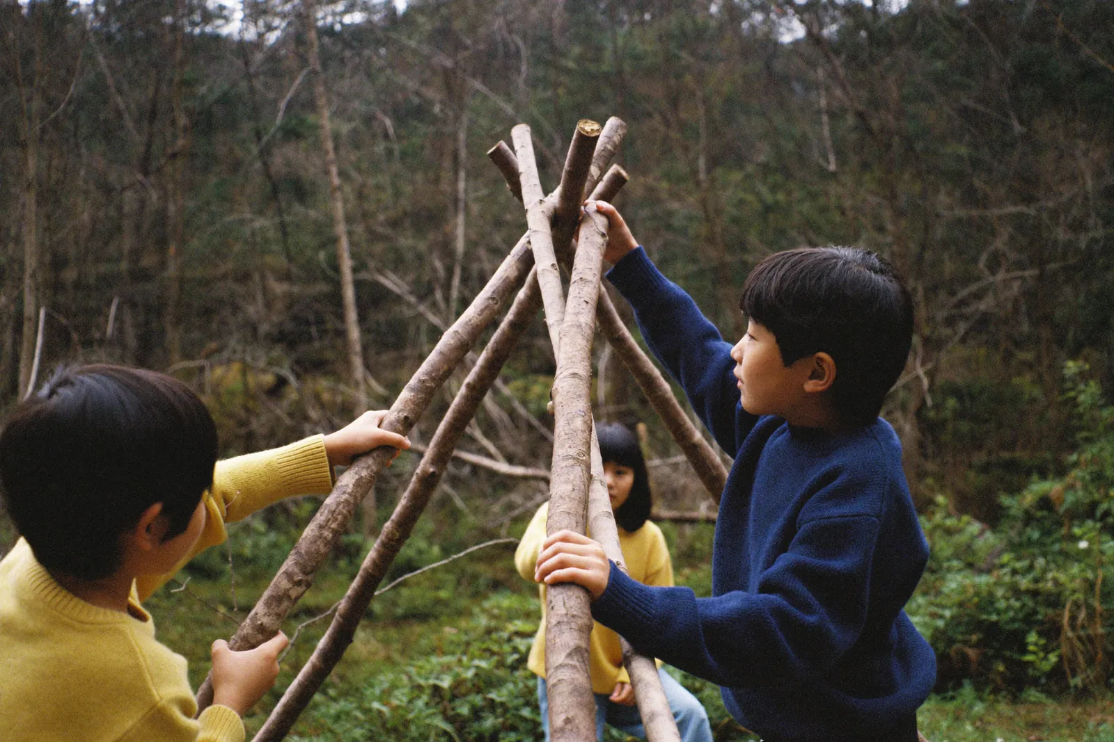 枝を組んで基地をつくる子どもたち