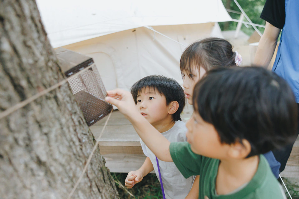 夏休みの宿題終わらせたい人集合！気づいたら終わるBUBの自由研究
