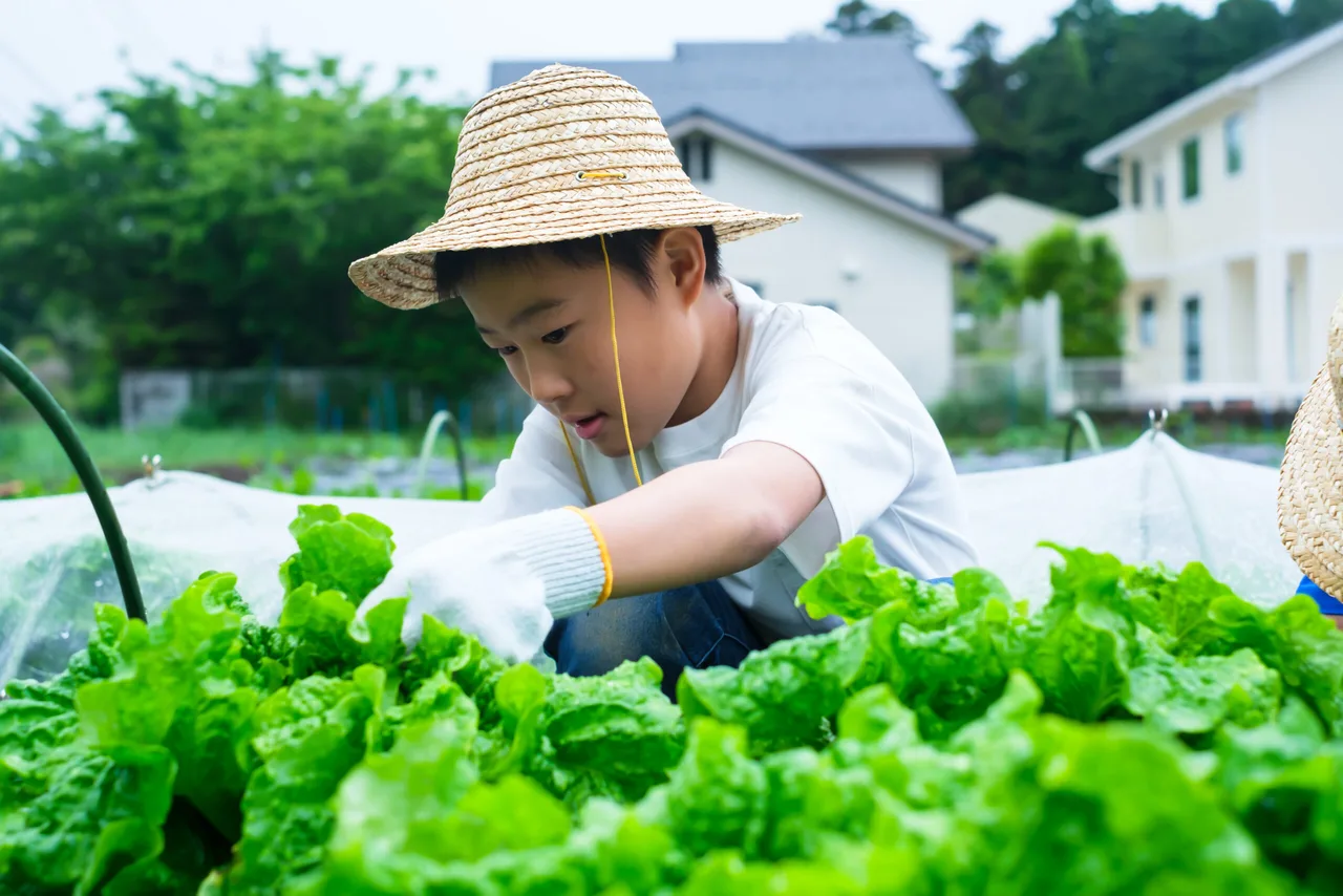 大地の恵みをゲット！初夏の野菜収穫体験の体験写真 1