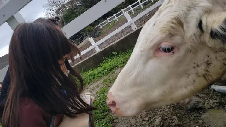 春の自然マーケットキャンプ