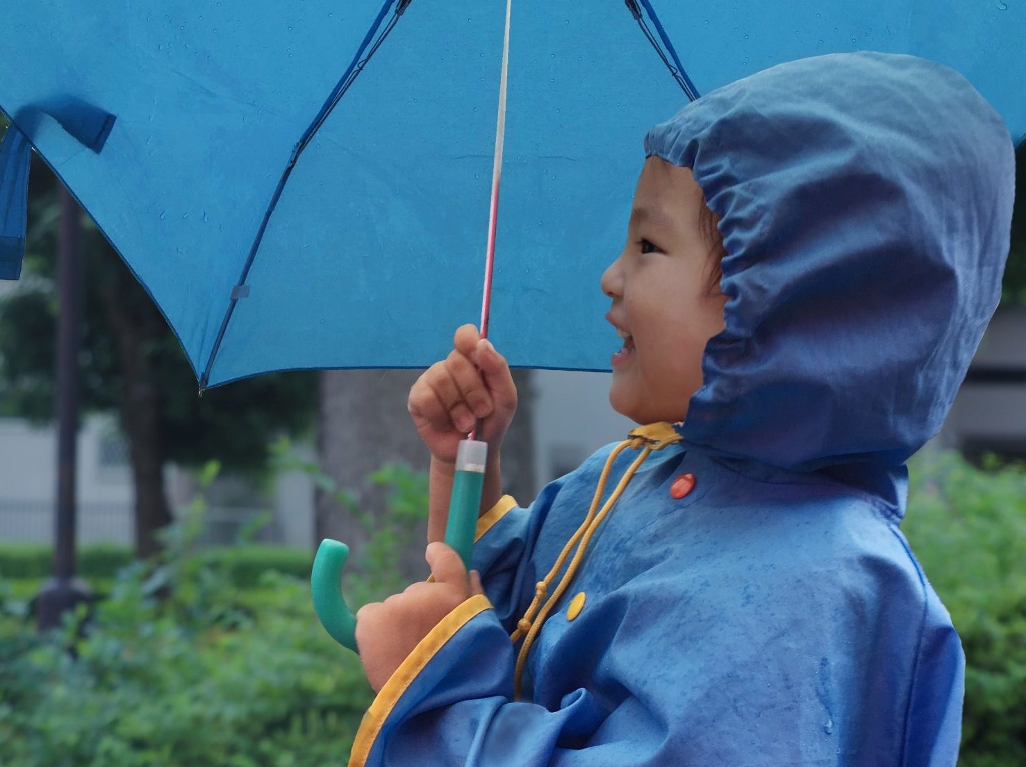 朗報 雨の日でもおすすめ 快適に過ごせる Bub Resort の理由 Bub Resort