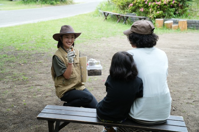 土の中から掘って見つける！カブトムシ幼虫ハント