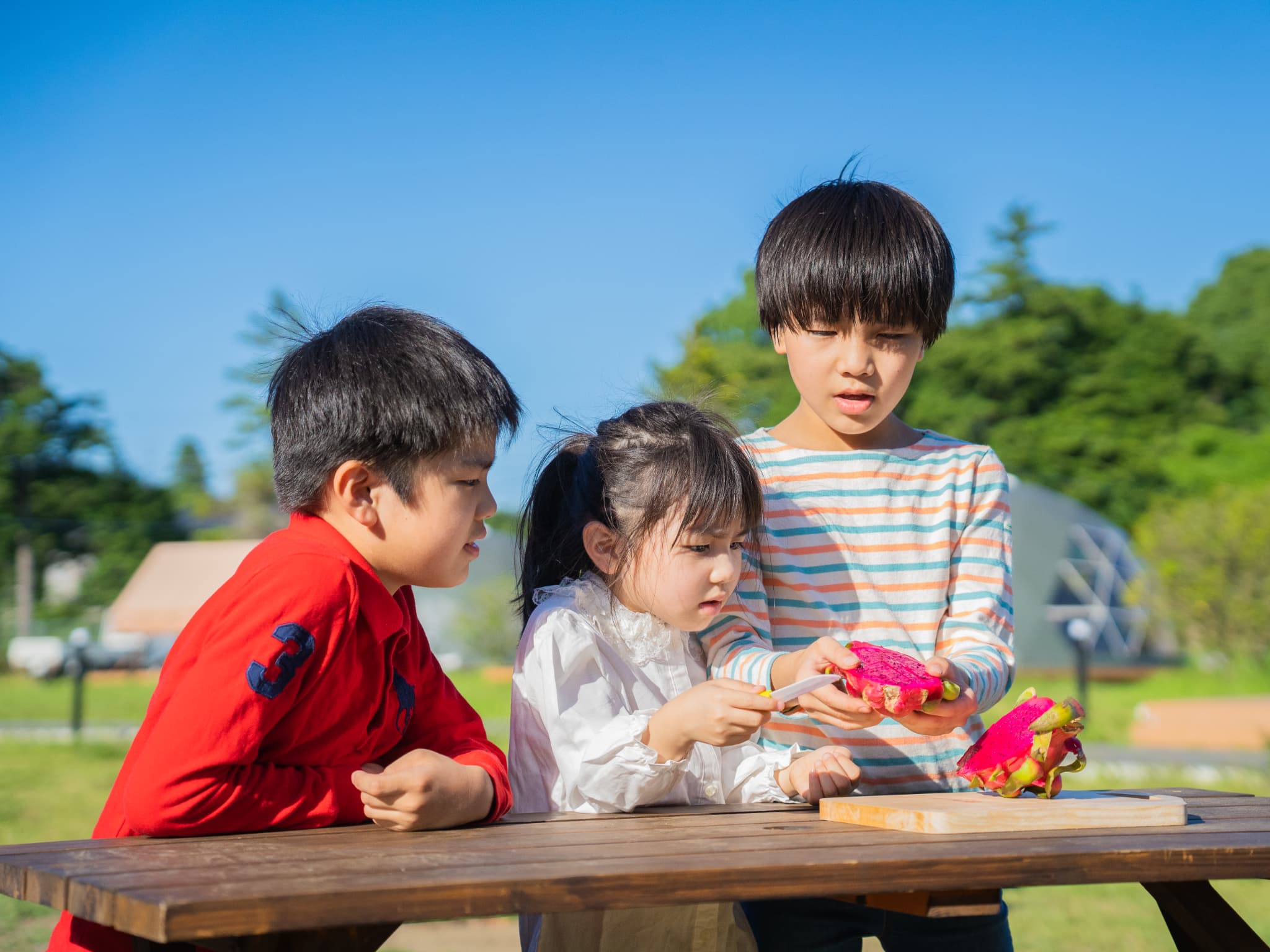 つくって楽しい！クラフト＆ものづくり体験