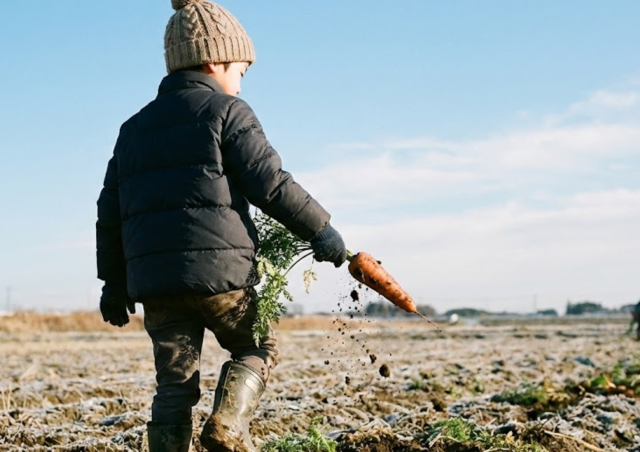 太陽の恵みを先取り！夏野菜の収穫ミッション