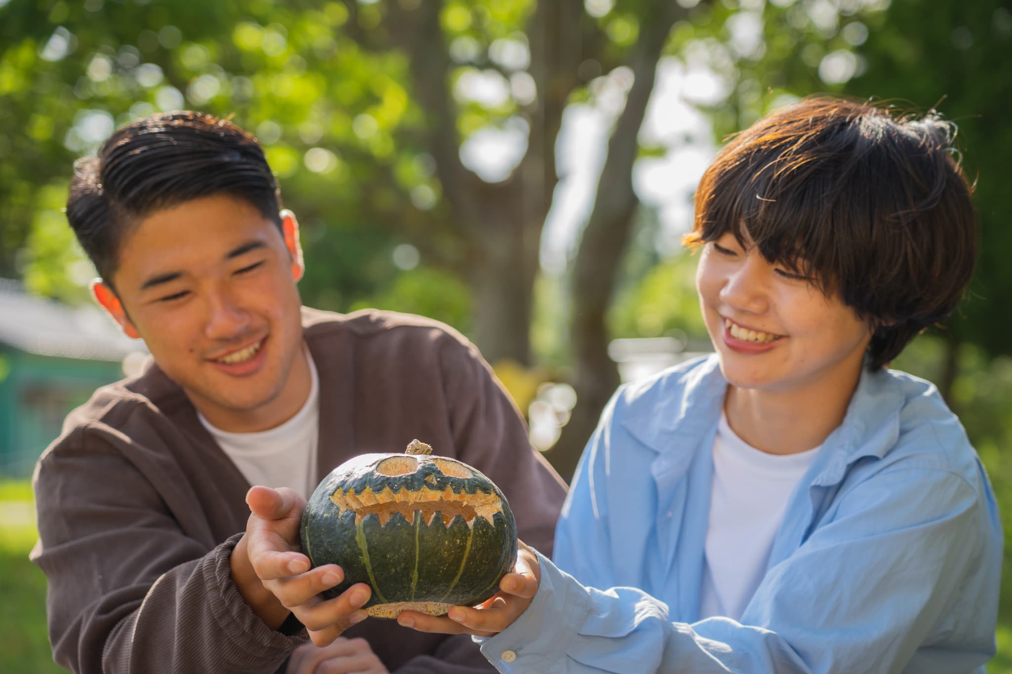 新鮮なかぼちゃ