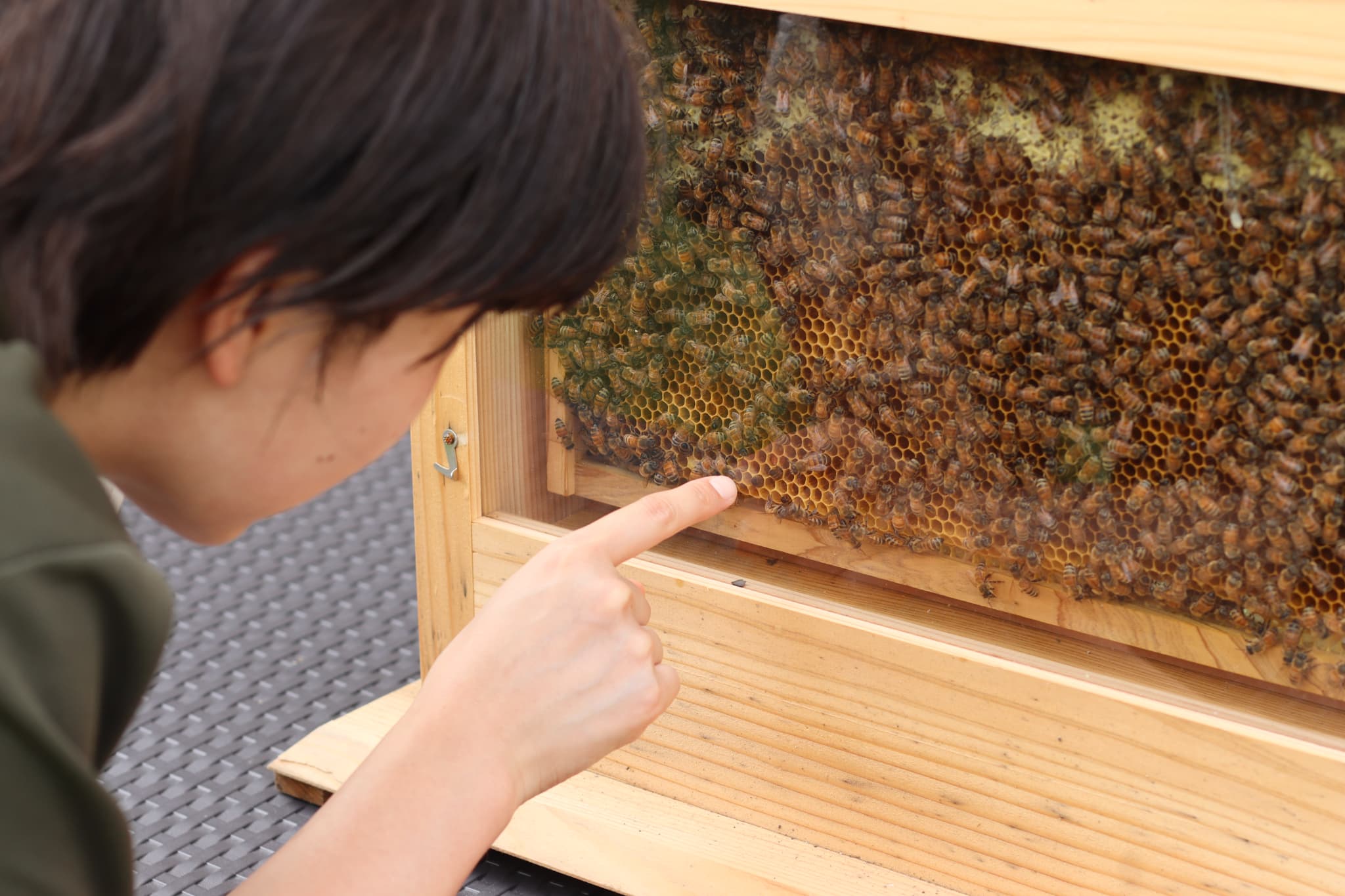 秋の自然・食・ものづくり体験が充実