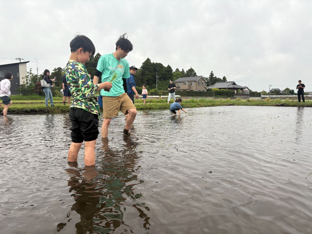田植えの魅力に触れられる体験！