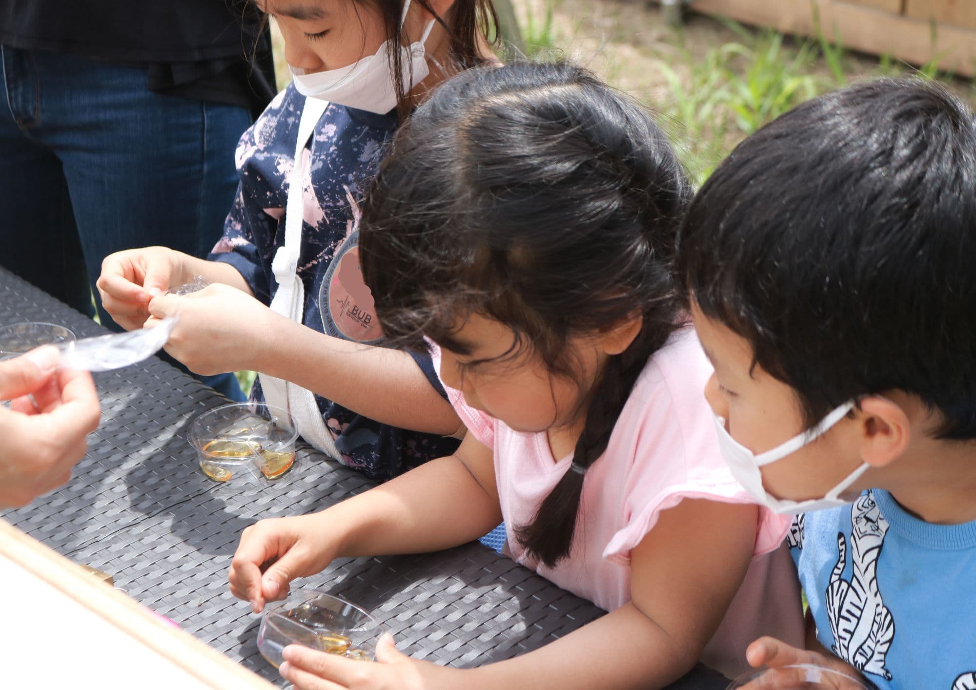 自然の恵みを学ぶ貴重な体験。養蜂の世界をのぞいてみよう