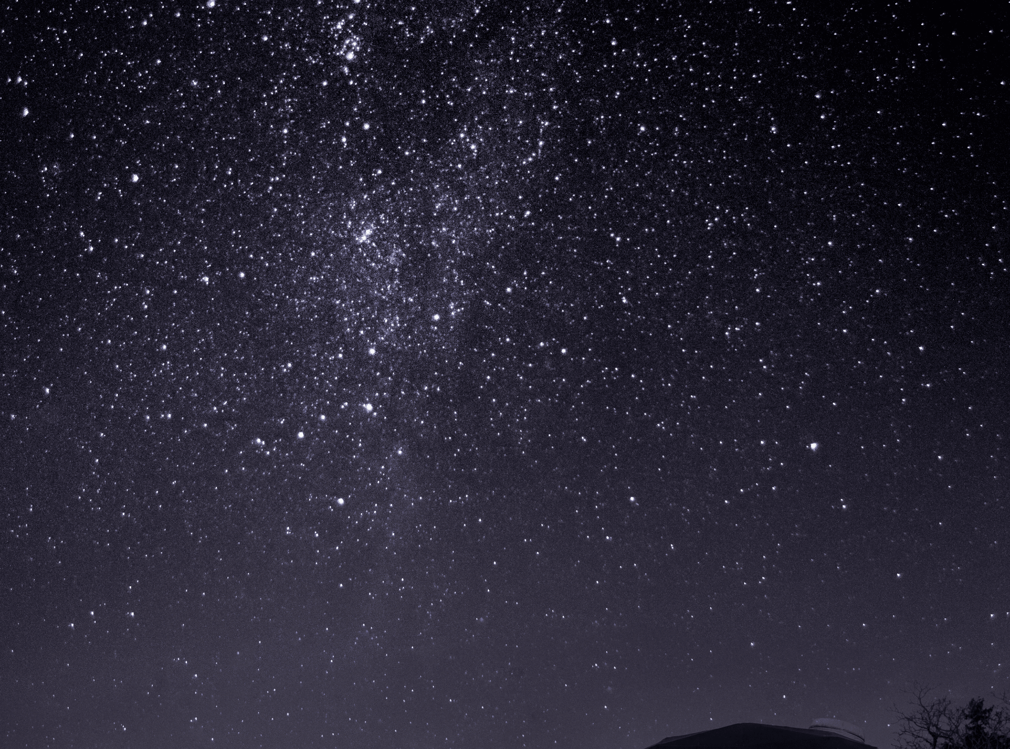 食・夜時間も春仕様。焚き火や星空で“締め”まで楽しめる