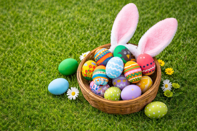 広いフィールドで競争！