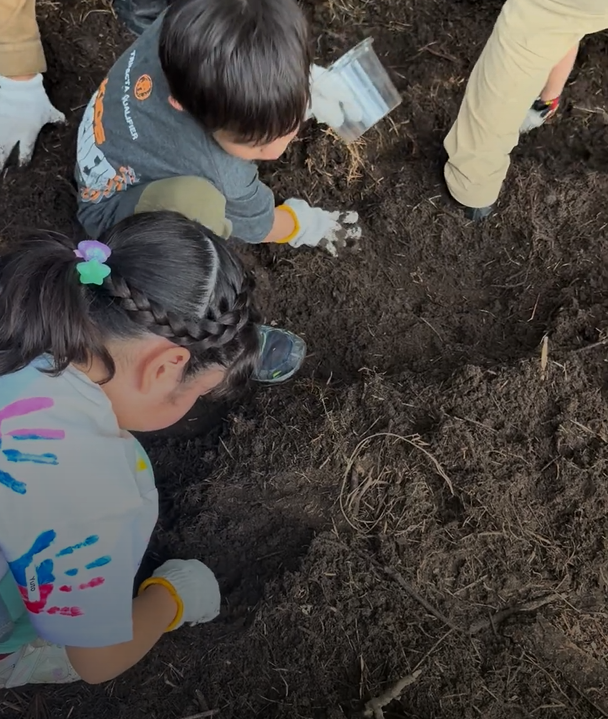 カブトムシの幼虫を育てる体験を通して、生き物の成長を学ぼう