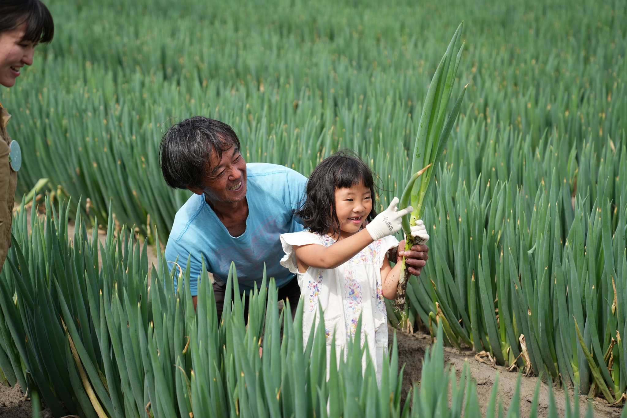 冬のネギ大収穫！