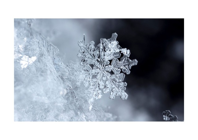 幻想的な輝き、冬のスノードーム作り