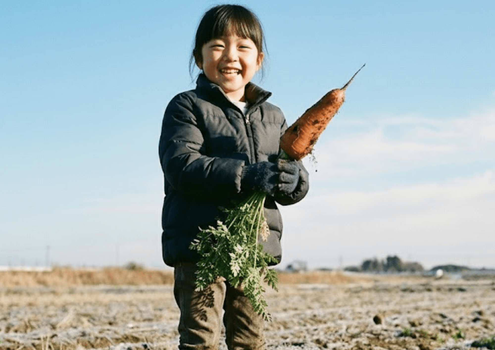 冬畑!収穫アドベンチャー
